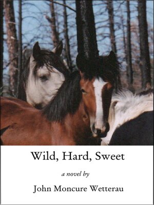 cover image of Wild, Hard, Sweet